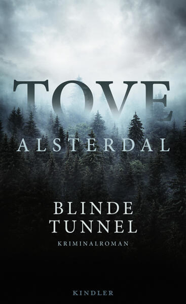 Bild zu Blinde Tunnel von Alsterdal, Tove 