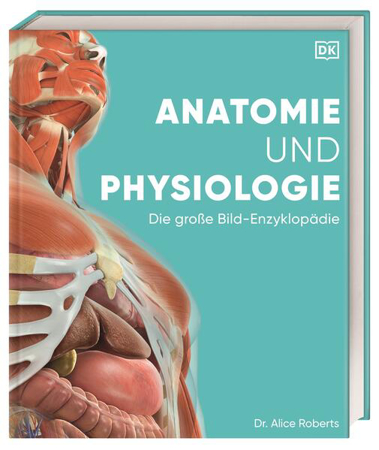 Bild zu Anatomie und Physiologie von Held, Andreas (Übers.) 