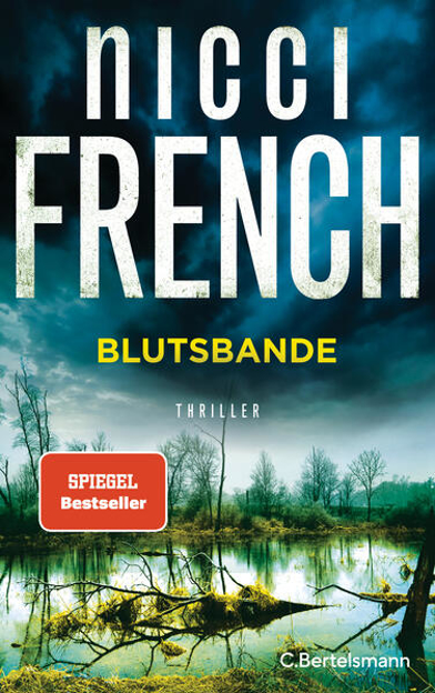 Bild zu Blutsbande von French, Nicci 