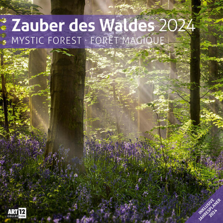 Bild zu Zauber des Waldes Kalender 2024 - 30x30 von Ackermann Kunstverlag