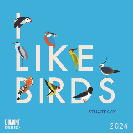 Bild zu I Like Birds 2024 - Broschürenkalender - Illustriert von Stuart Cox - internationales Kalendarium - Format 30 x 30 cm von Cox, Stuart (Illustr.) 