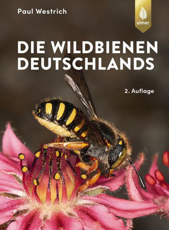 Bild zu Die Wildbienen Deutschlands (eBook) von Westrich, Paul
