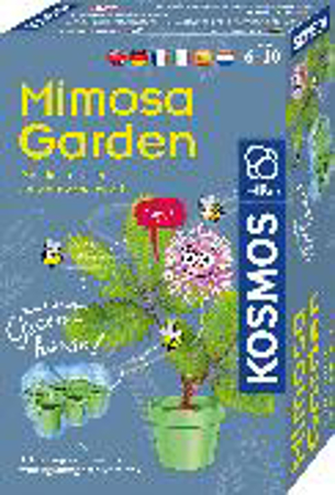Bild zu Mimosen-Garten MULTI