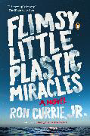 Bild zu Flimsy Little Plastic Miracles (eBook) von Currie, Ron