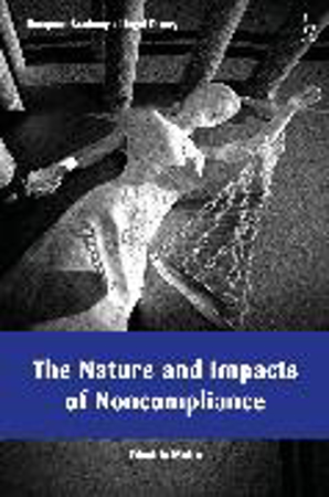 Bild zu The Nature and Impacts of Noncompliance von Moita, Edvaldo