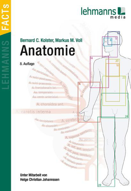 Bild zu Anatomie von Kolster, Bernhard 