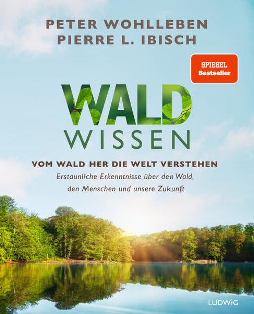 Bild zu Waldwissen von Wohlleben, Peter 