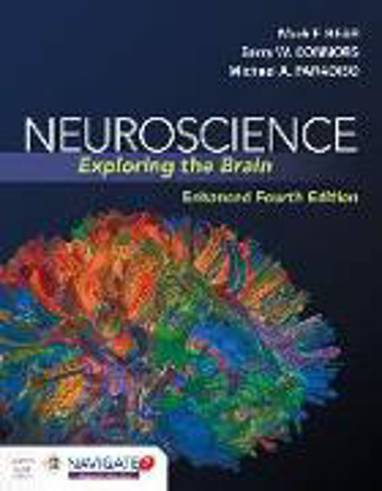 Bild zu Neuroscience: Exploring The Brain, Enhanced Edition von Bear, Mark 