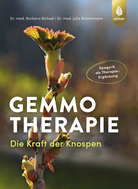 Bild zu Gemmotherapie (eBook) von Bichsel, Barbara 