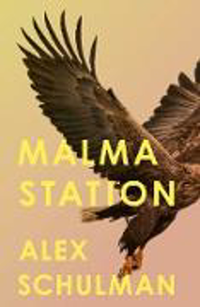 Bild zu Malma Station (eBook) von Schulman, Alex