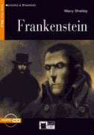 Bild zu Frankenstein von Shelley, Mary 