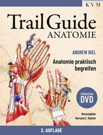 Bild zu Trail Guide Anatomie von Biel, Andrew 