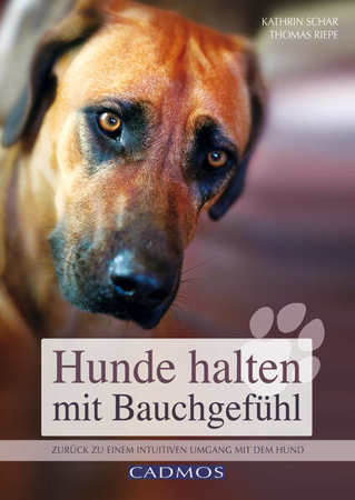 Bild zu Hunde halten mit Bauchgefühl (eBook) von Schar, Kathrin 