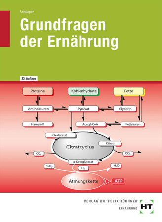Bild zu Grundfragen der Ernährung von Schlieper, Cornelia A.