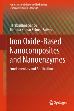 Bild zu Iron Oxide-Based Nanocomposites and Nanoenzymes von Sahoo, Jitendra Kumar (Hrsg.) 