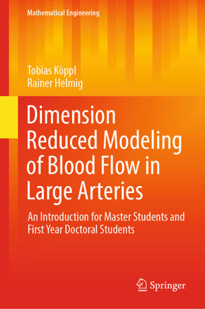 Bild zu Dimension Reduced Modeling of Blood Flow in Large Arteries von Helmig, Rainer 