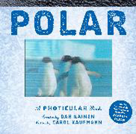 Bild zu Polar von Kainen, Dan 
