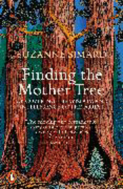 Bild zu Finding the Mother Tree von Simard, Suzanne