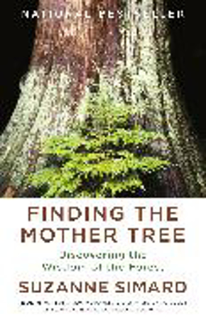 Bild zu Finding the Mother Tree von Simard, Suzanne