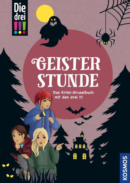 Bild zu Die drei !!!, Geisterstunde (drei Ausrufezeichen) (eBook) von Jansen, Andrea (Illustr.)