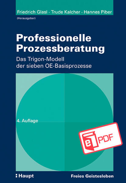 Bild zu Professionelle Prozessberatung (eBook) von Glasl, Friedrich (Hrsg.) 