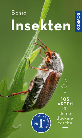 Bild zu BASIC Insekten von Gerstmeier, Roland