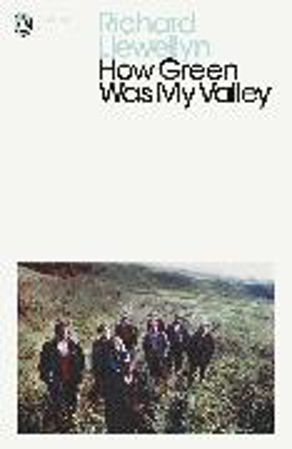 Bild zu How Green was My Valley von Llewellyn Richard