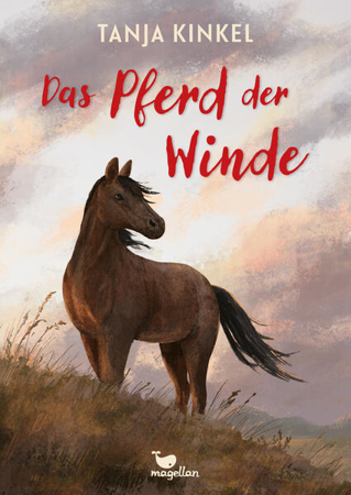 Bild zu Das Pferd der Winde von Kinkel, Tanja 