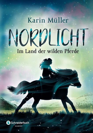 Bild zu Nordlicht, Band 01 von Müller, Karin