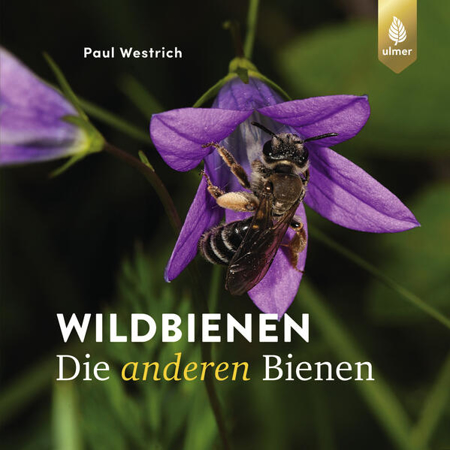 Bild zu Wildbienen, die anderen Bienen von Westrich, Paul