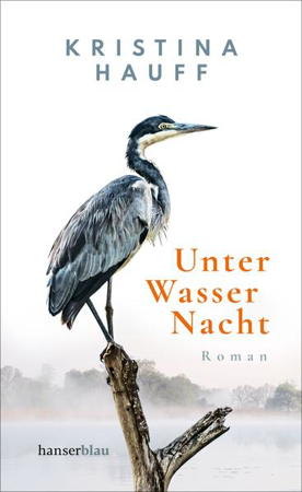 Bild zu Unter Wasser Nacht von Hauff, Kristina