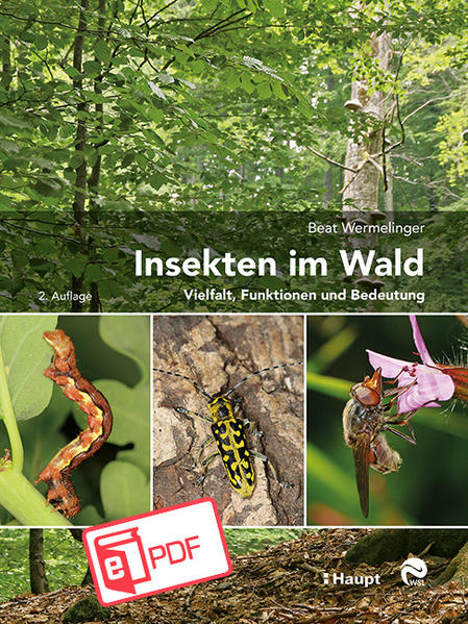 Bild zu Insekten im Wald (eBook) von Wermelinger, Beat